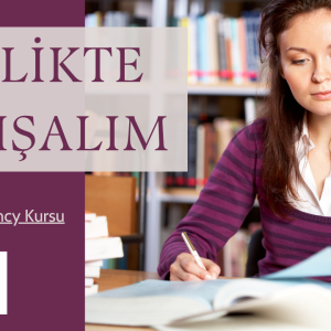 Ankara Proficiency kursu