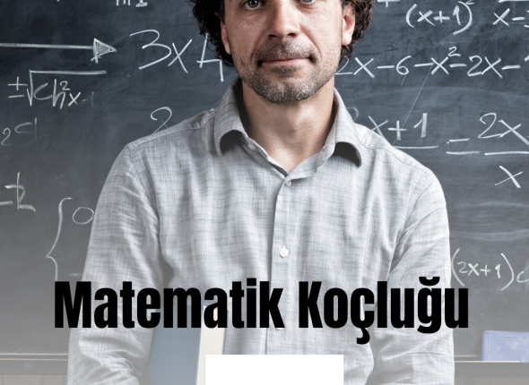 Birebir matematik koçluğu